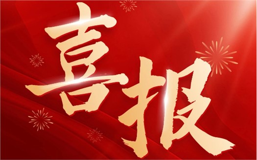 集团荣膺2025中国民营企业500强第249位，制造业民营企业500强第177位，排名较去年双双大幅提升